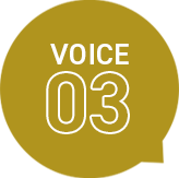 VOICE03